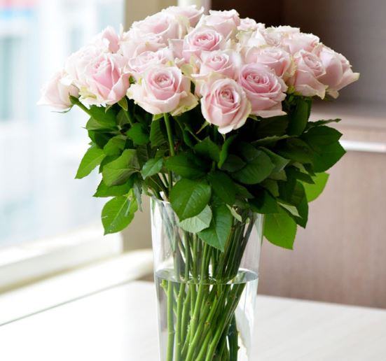 6 cách cắm hoa hồng đẹp mê mẩn làm bừng lên cả góc nhà 2