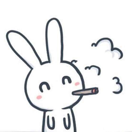 Ảnh Anime Thỏ Dễ Thương Nhất Hình Nền Anime Thỏ Cute