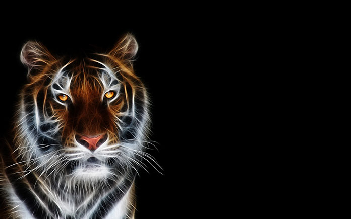 Con hổ 3D dễ thương