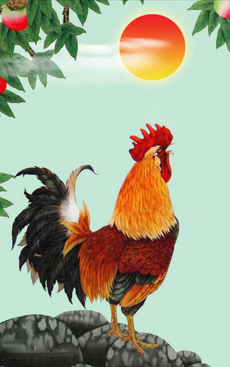 Tải miễn phí 249 hình ảnh con gà trống chất lượng cao  Bảng Xếp Hạng