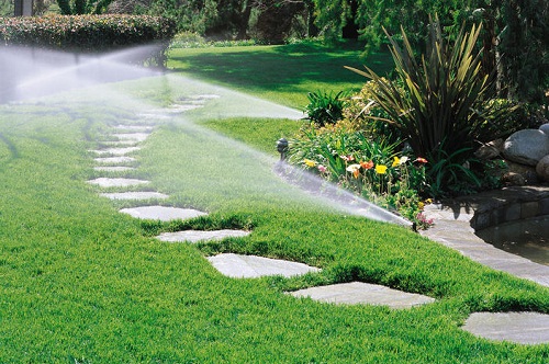 Hướng dẫn lắp đặt hệ thống tưới nước phun mưa cho mảng cỏ diện tích lớn - Tưới tự động