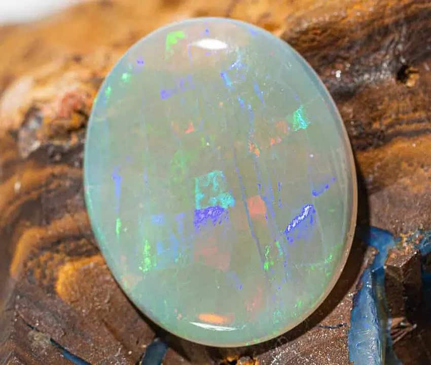 Trang EXIF opal